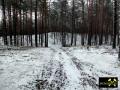 Endmoränen-Landschaft des Niederlausitzer Grenzwalls am Königsberg bei Gehren, Niederlausitz-Spreewald, Brandenburg, (D) (12) 24.01.2015.JPG